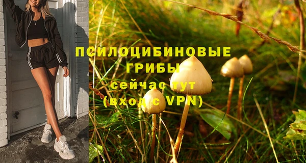 MDMA Бородино