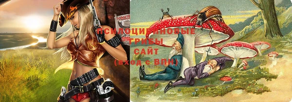 спиды Бронницы