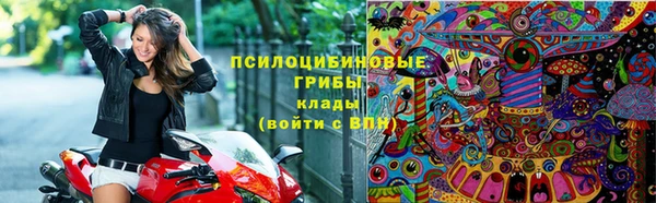 спиды Бронницы
