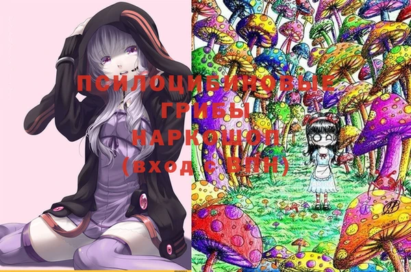 MDMA Бородино