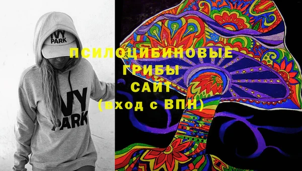 спиды Бронницы